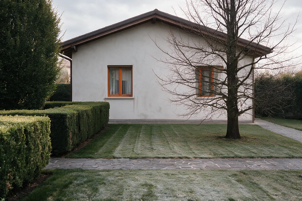 Lo stesso giardino in inverno: l'albero spoglio e la brina sui filari d'erba